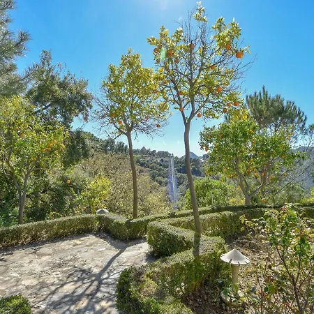 Disfruta De Privacidad Seguridad Y Naturaleza En La Zagaleta * Benahavis